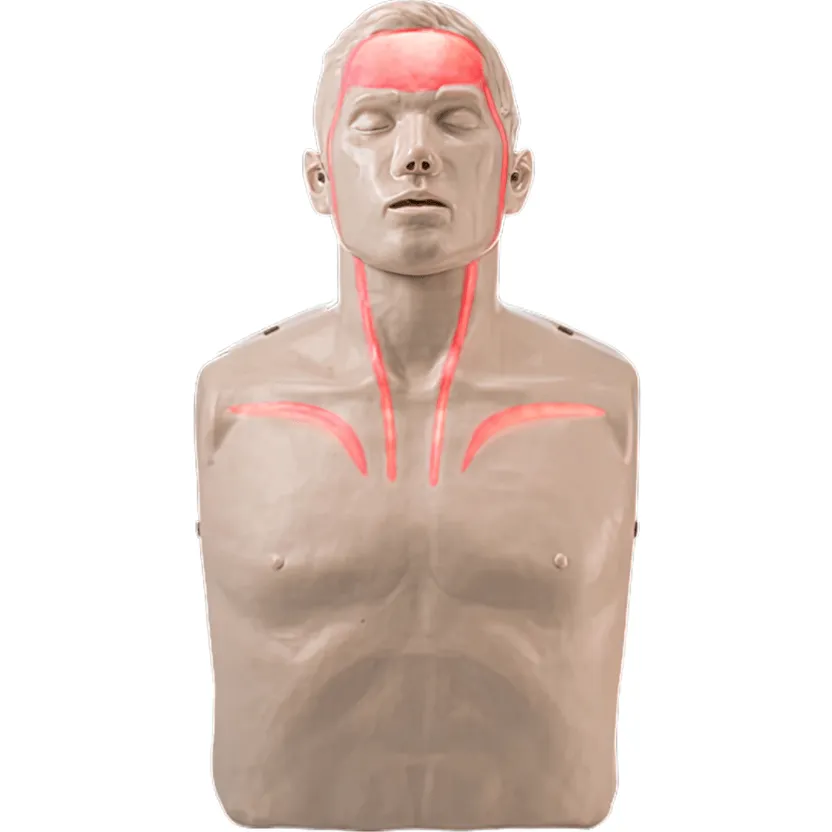 Brayden CPR Manikin Dummy Pulse With Lights/Bloodflow Adult Size