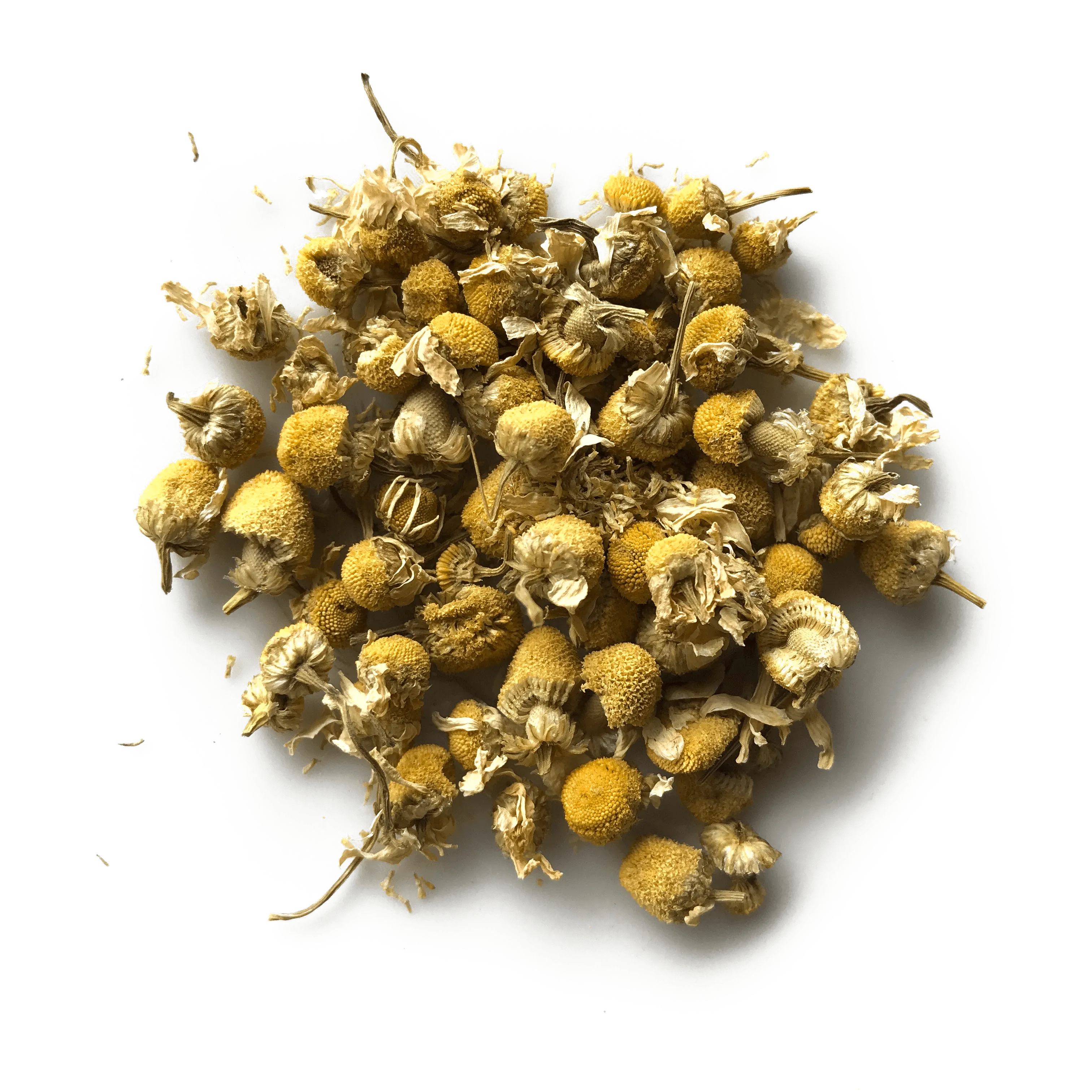 Chamomile Flowers by Open Door Tea CT