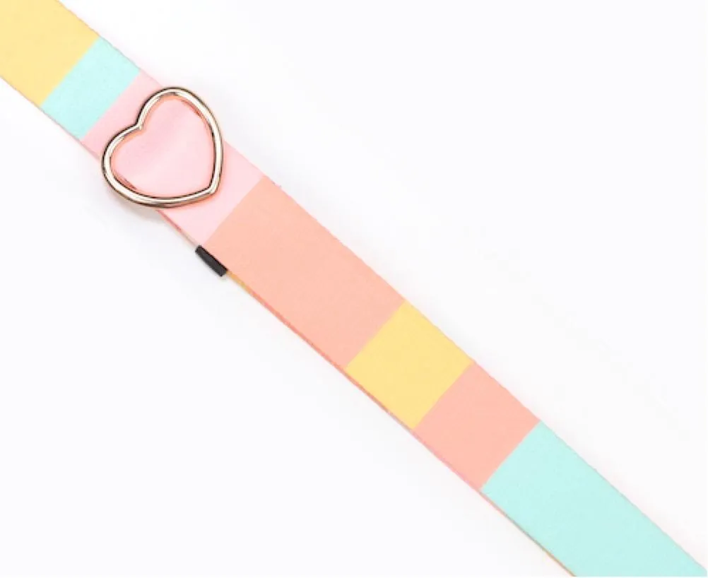 Color Blocked Planner Purse Strap