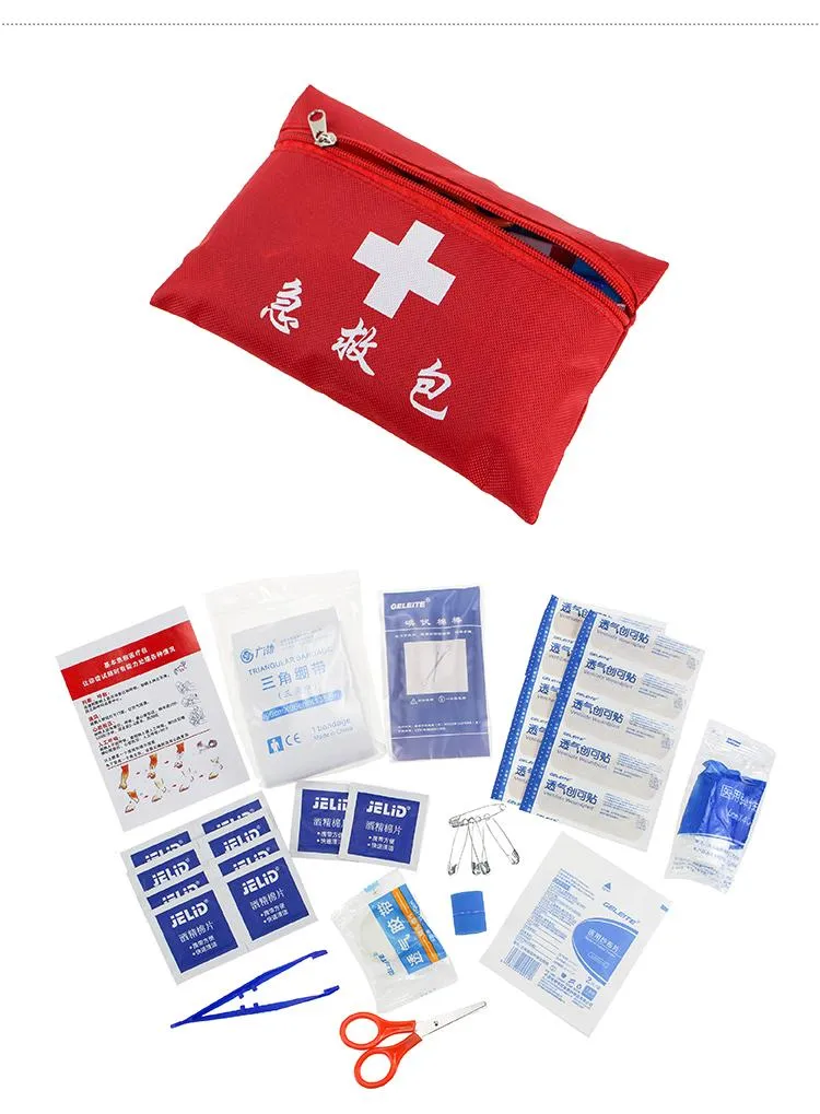 First Aid Kit in Zip Bag