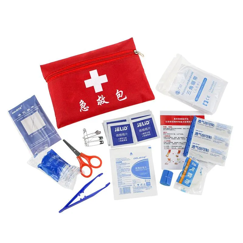 First Aid Kit in Zip Bag