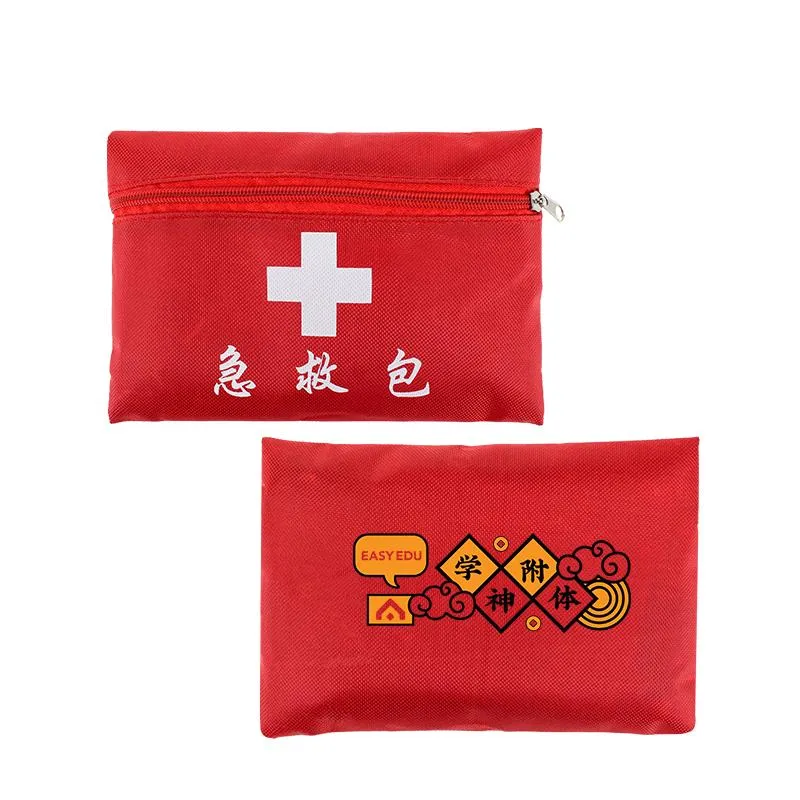 First Aid Kit in Zip Bag