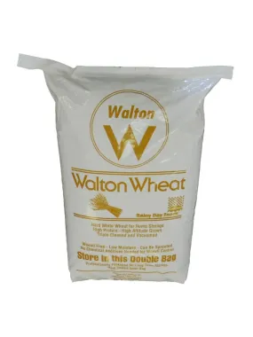 Rainy Day Foods Hard White Wheat Double Plastic 50 lbs Bag - 228 Servings