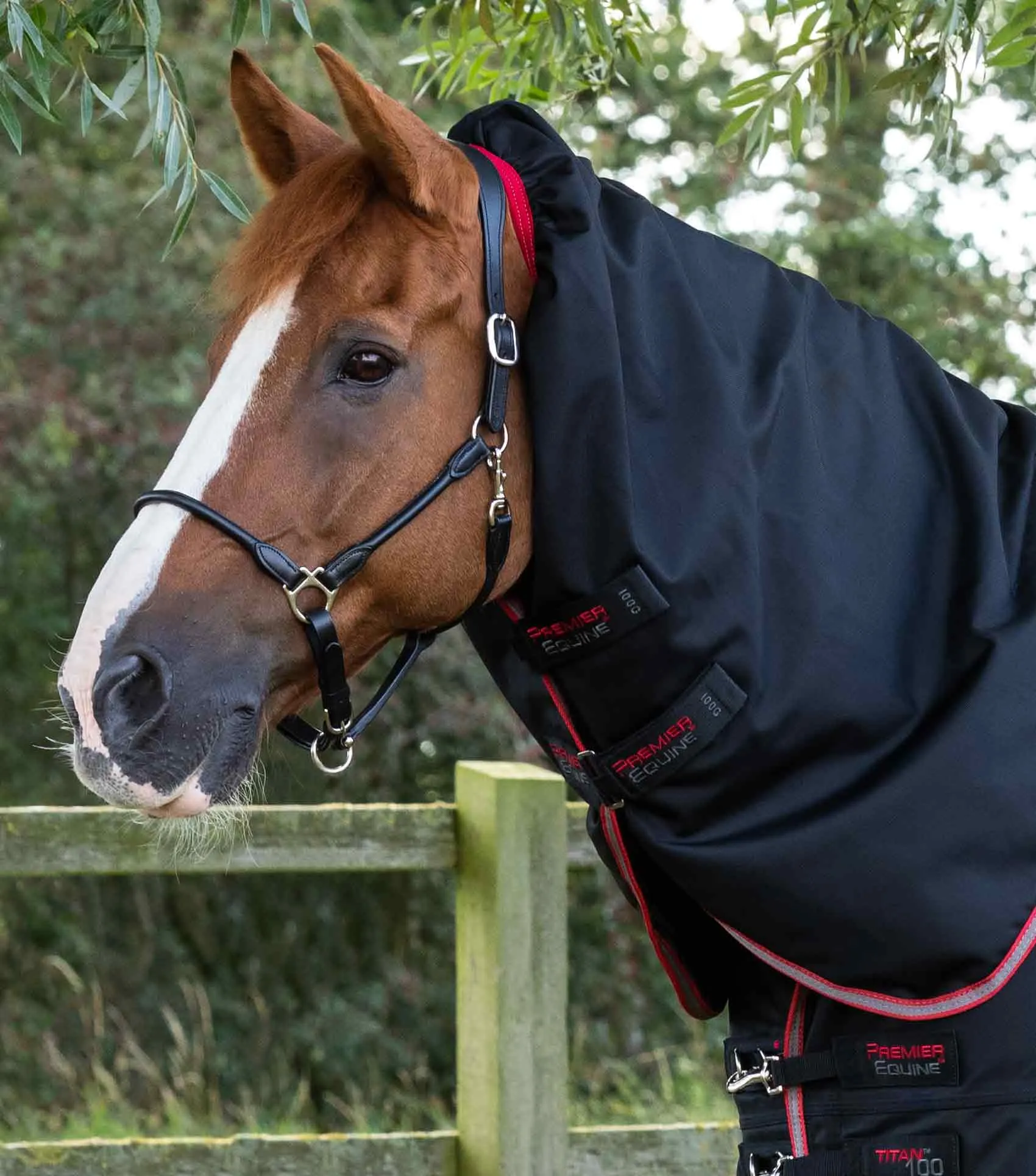 SALE Titan 100g Turnout Rug Neck Cover (200g Fill)