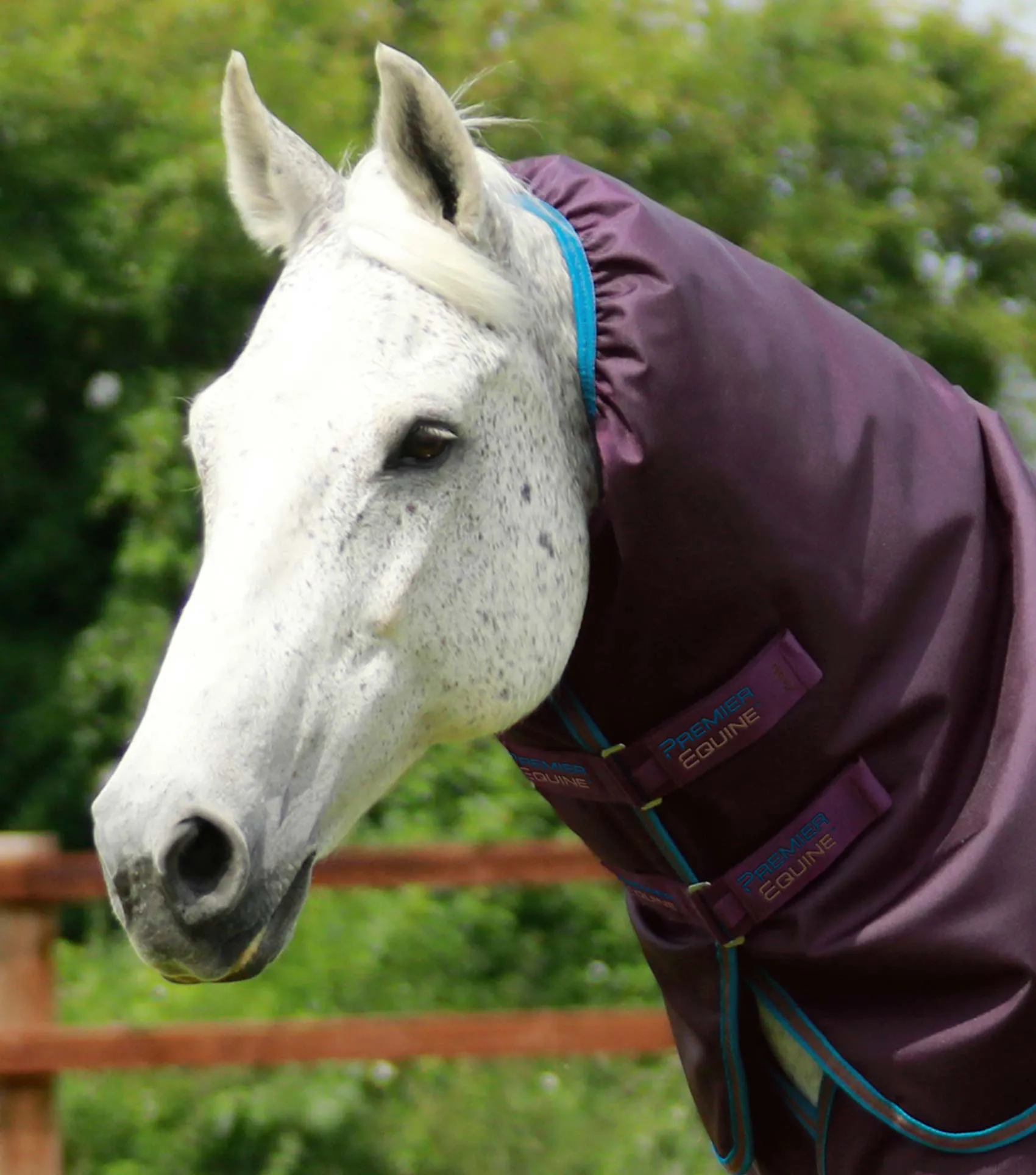 Titan 200g Turnout Rug Neck Cover (200g Fill)