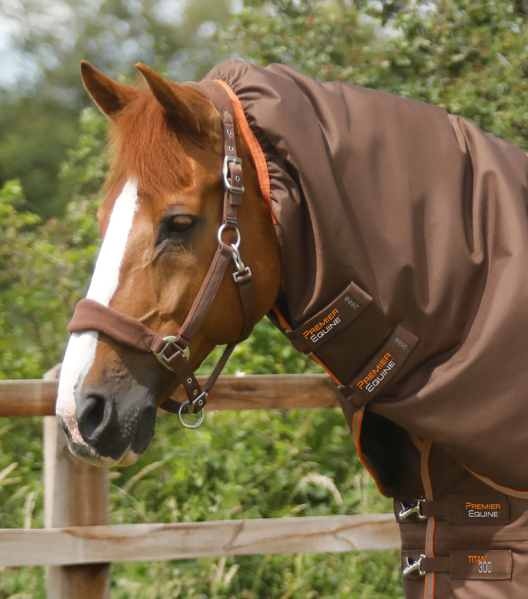 Titan 300g Turnout Rug Neck Cover (200g Fill)