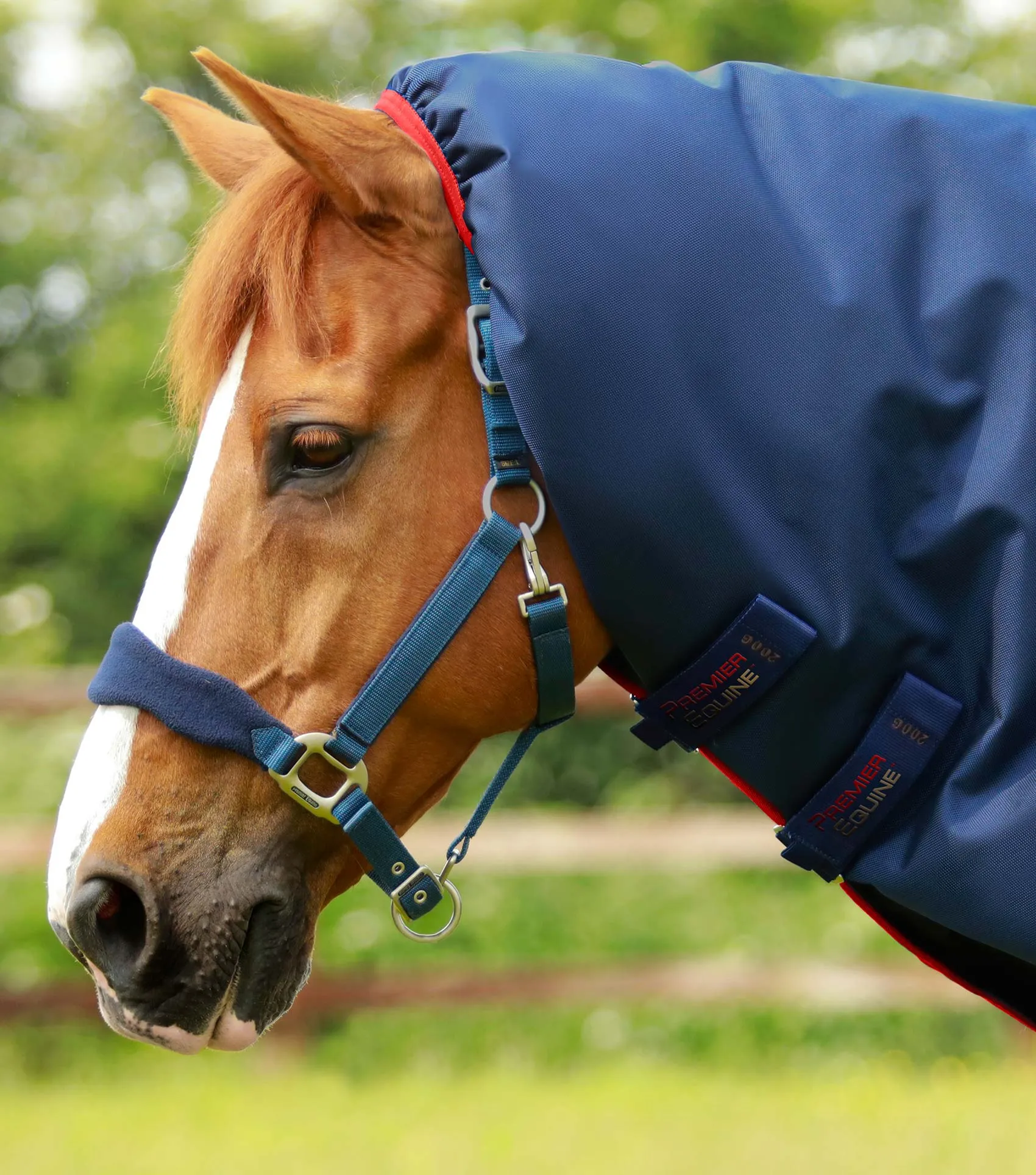 Titan 450g Turnout Rug Neck Cover (200g Fill)